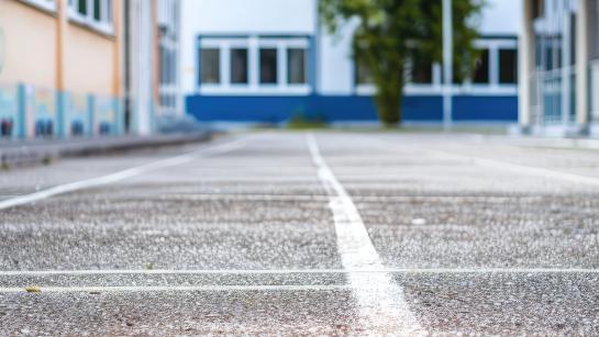 Schoolyard with one tree