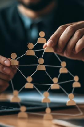 organization chart team concept networking 