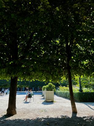 Beautiful garden scenery at Jardin du Palais Royal in Paris, lush greenery with elegant historic architecture, peaceful urban park under clear sky 